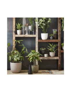 COPRIVASO CERAMICA HENDRICK CREAM - H12,5XD15CM 10 COPRIVASO CERAMICA HENDRICK CREAM - H12,5XD15CM -Vendite Forniture Da Giardino coprivaso ceramica hendrick cream h125xd15cm 4