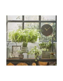 COPRIVASO CERAMICA KJELD OVAL GREY - L24,5XW14XH20 Cm -Vendite Forniture Da Giardino coprivaso ceramica kjeld oval grey l245xw14xh20 cm 2