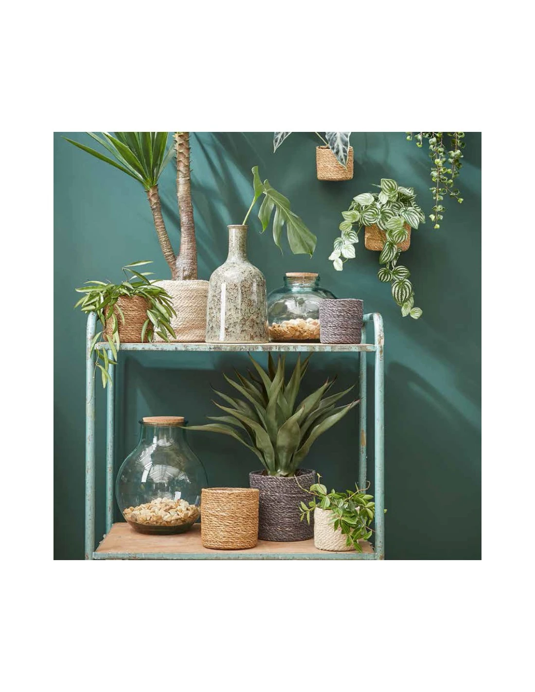 COPRIVASO CESTO ATLANTIC - H18XD18 Cm 2 COPRIVASO CESTO ATLANTIC - H18XD18 Cm - immagine 2