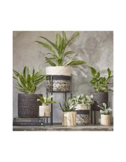 COPRIVASO CESTO JORCK GREY - H19XD22 Cm 5 COPRIVASO CESTO JORCK GREY - H19XD22 Cm -Vendite Forniture Da Giardino coprivaso cesto jorck grey h19xd22 cm 2