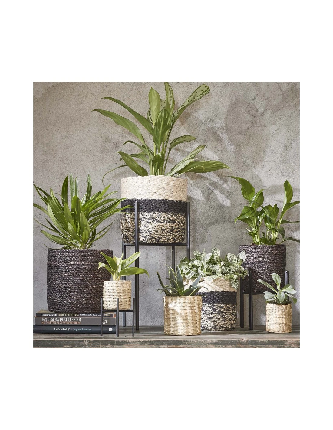 COPRIVASO CESTO JORCK GREY - H19XD22 Cm 3 COPRIVASO CESTO JORCK GREY - H19XD22 Cm - immagine 3