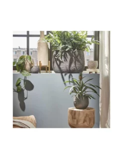 COPRIVASO HENDRICK GOLD - L28XW16XH21CM -Vendite Forniture Da Giardino coprivaso hendrick gold l28xw16xh21cm 3