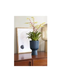 Elho COPRIVASO VIBES FOLD COUPE 14CM DEEP BLUE -Vendite Forniture Da Giardino coprivaso vibes fold coupe 14cm deep blue 2