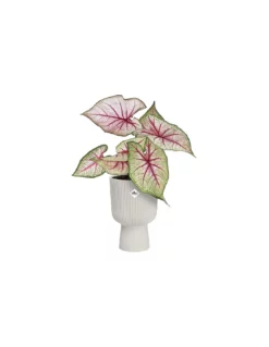 Elho COPRIVASO VIBES FOLD COUPE 14CM SILKY WHITE -Vendite Forniture Da Giardino coprivaso vibes fold coupe 14cm silky white 2