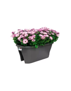 Elho CORSICA FLOWER BRIDGE 60CM ANTHRACITE