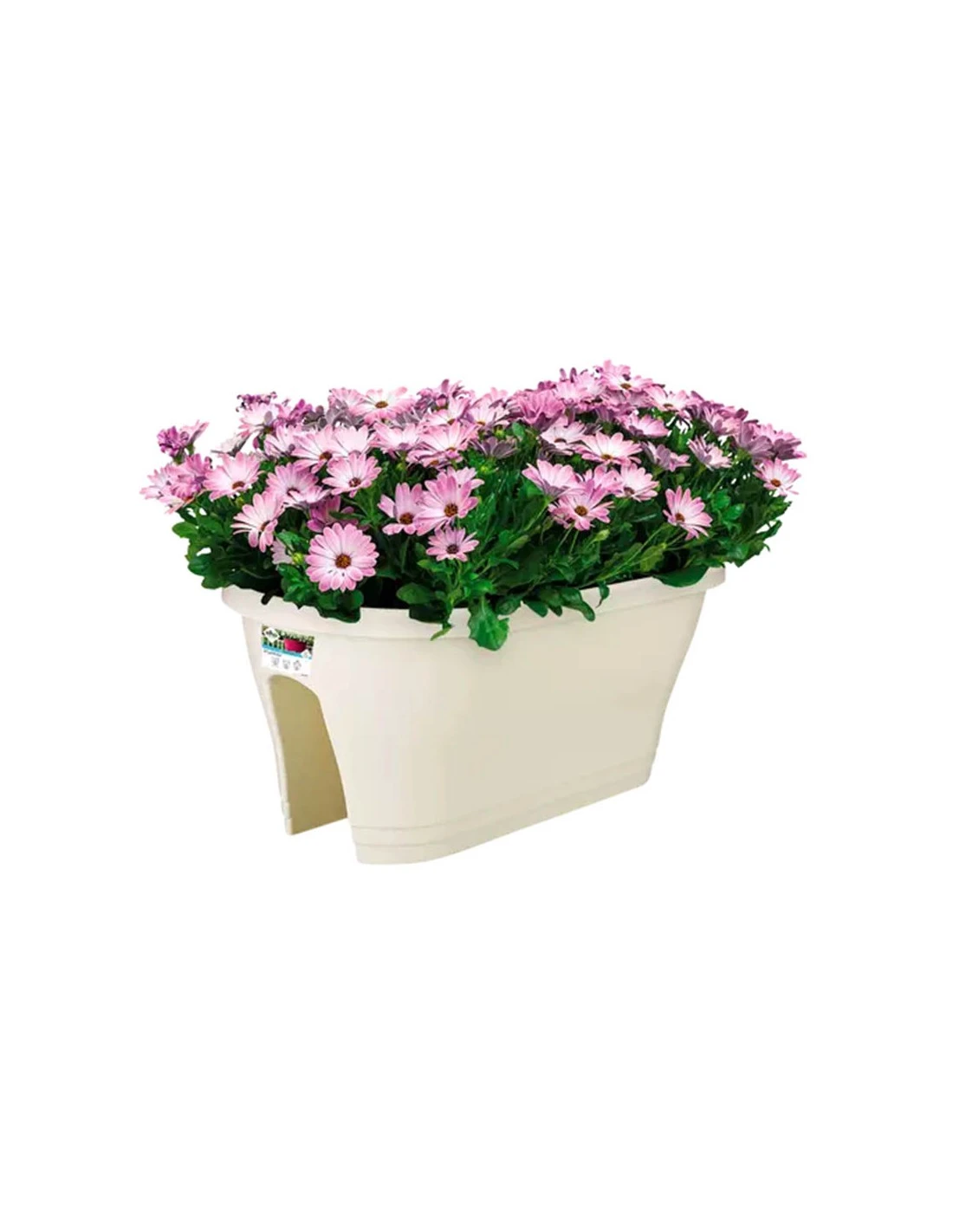 Elho CORSICA FLOWER BRIDGE 60CM WHITE 1 Elho CORSICA FLOWER BRIDGE 60CM WHITE