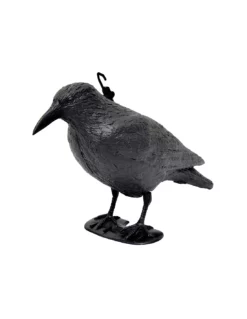 Corvo Dissuasore Per Volatili