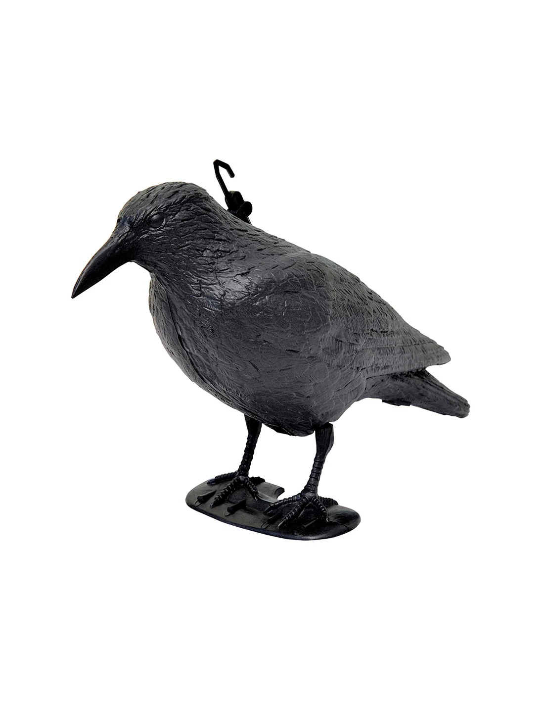 Corvo Dissuasore Per Volatili 1 Corvo Dissuasore Per Volatili