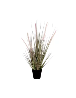 PLUME GRASS PURPLE - H53XD10 Cm