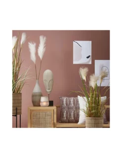 PLUME GRASS PURPLE - H53XD10 Cm -Vendite Forniture Da Giardino dogtail grass purple in plastic pot d10cm h53cm 3