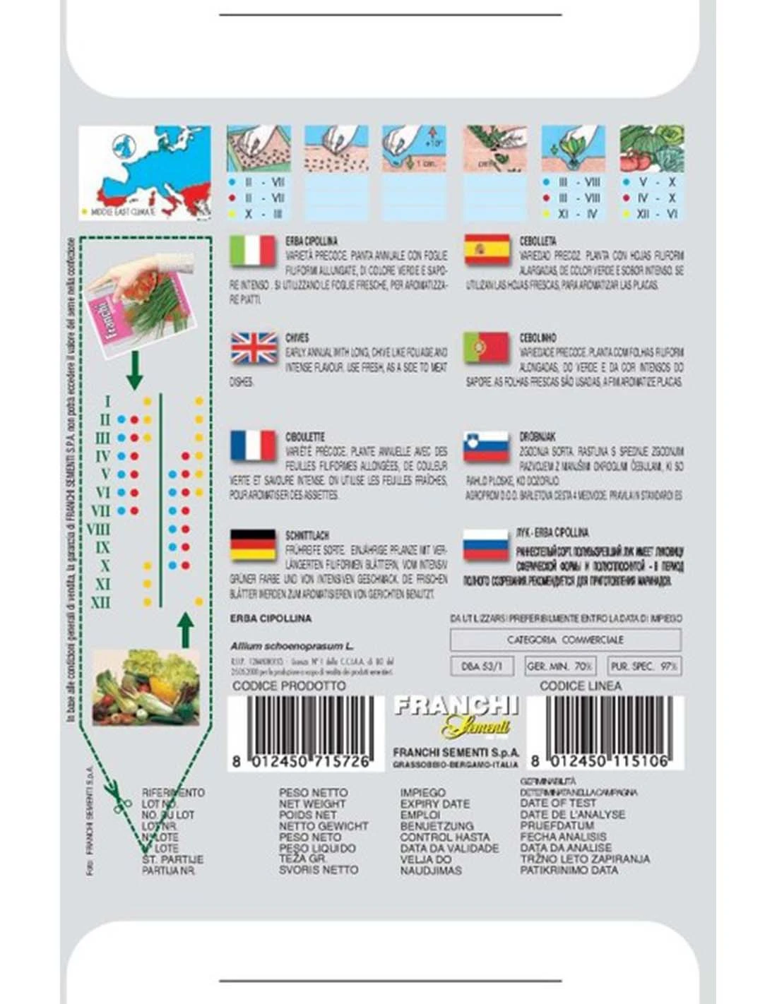 ERBA CIPOLLINA 2 ERBA CIPOLLINA - immagine 2