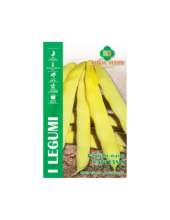 FAGIOLO NANO CAPITANO - 100GR