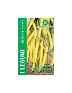 FAGIOLO NANO DE ROCQUENCOURT B 100 GR