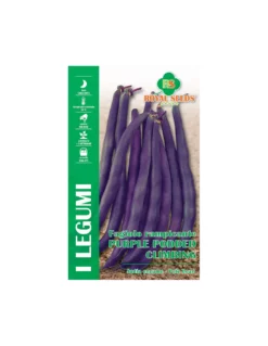 FAGIOLO PURPLE PODDED CLIMBING B 100 GR
