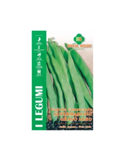 FAG.RAMP.SUPERMARCONI(A GR.NERO)B100G