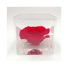 ROSA STABILIZZATA In CUBO 10X10 - RED