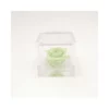 ROSA STABILIZZATA In CUBO 6X6 - GREEN