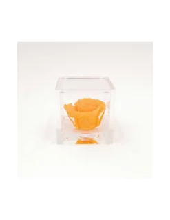 ROSA STABILIZZATA In CUBO 6X6 - ORANGE