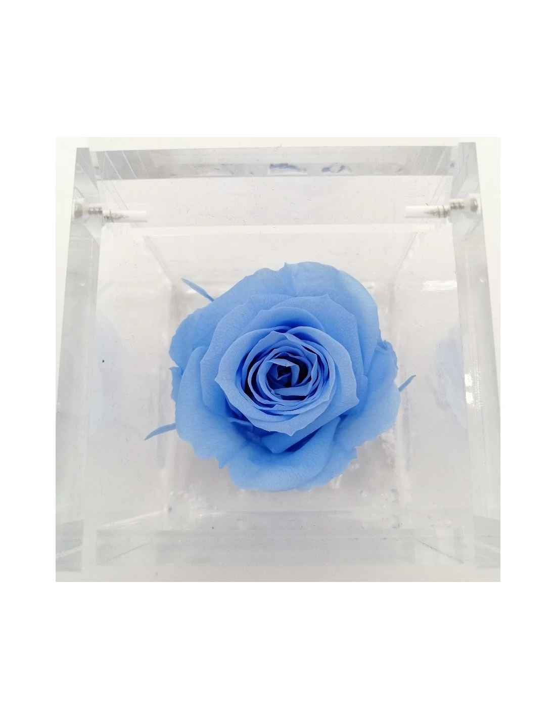 ROSA STABILIZZATA In CUBO 6X6 - LIGHT BLUE 2 ROSA STABILIZZATA In CUBO 6X6 - LIGHT BLUE - immagine 2