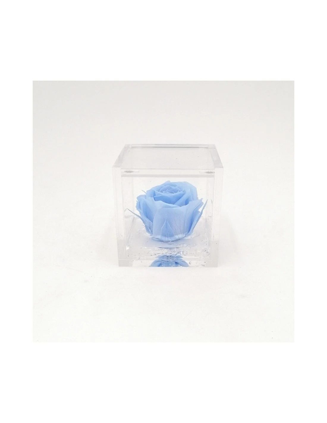 ROSA STABILIZZATA In CUBO 6X6 - LIGHT BLUE 1 ROSA STABILIZZATA In CUBO 6X6 - LIGHT BLUE