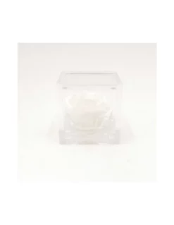 ROSA STABILIZZATA In CUBO 6X6 - WHITE