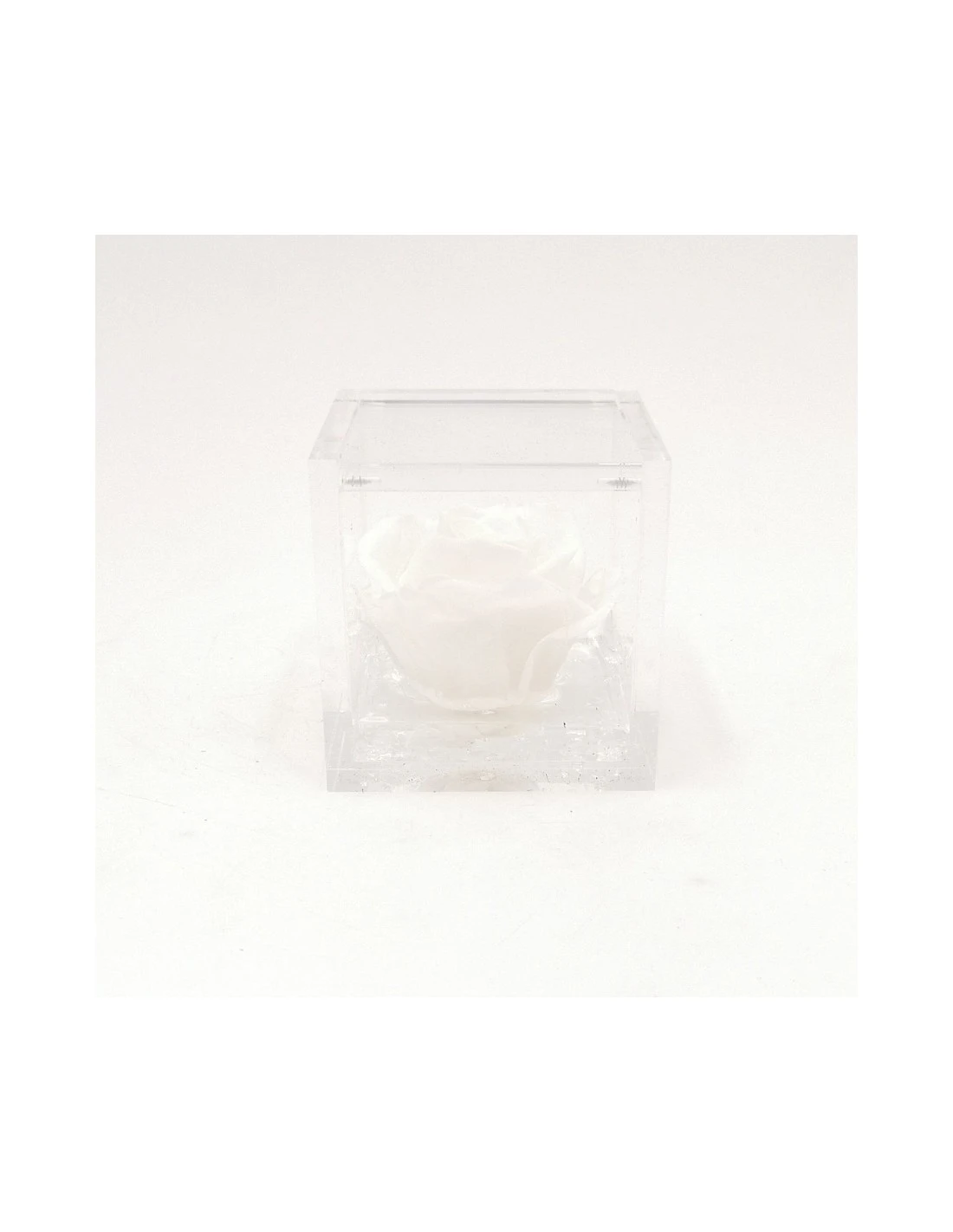 ROSA STABILIZZATA In CUBO 6X6 - WHITE 1 ROSA STABILIZZATA In CUBO 6X6 - WHITE