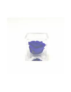 ROSA STABILIZZATA In CUBO 6X6 - BLUE