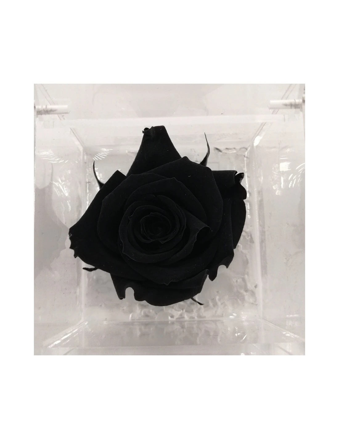 ROSA STABILIZZATA In CUBO 6X6 - BLACK 2 ROSA STABILIZZATA In CUBO 6X6 - BLACK - immagine 2