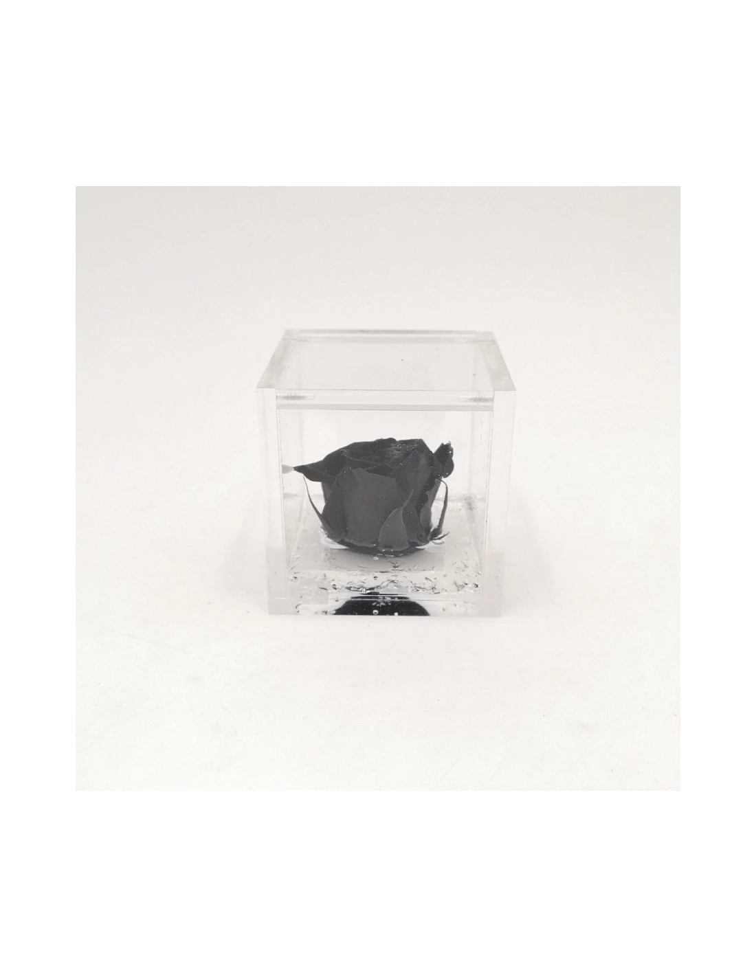 ROSA STABILIZZATA In CUBO 6X6 - BLACK 1 ROSA STABILIZZATA In CUBO 6X6 - BLACK