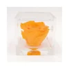 ROSA STABILIZZATA In CUBO 8X8 - ORANGE