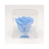 ROSA STABILIZZATA In CUBO 8X8 - LIGHT BLUE