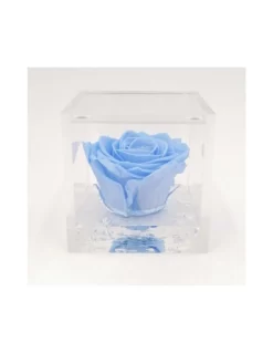 ROSA STABILIZZATA In CUBO 8X8 - LIGHT BLUE