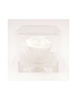 ROSA STABILIZZATA In CUBO 8X8 - WHITE