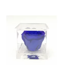 ROSA STABILIZZATA In CUBO 8X8 - BLUE