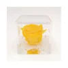 ROSA STABILIZZATA In CUBO 8X8 - YELLOW