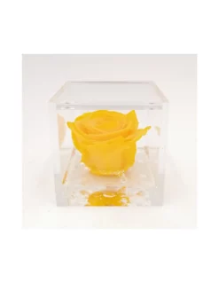 ROSA STABILIZZATA In CUBO 8X8 - YELLOW