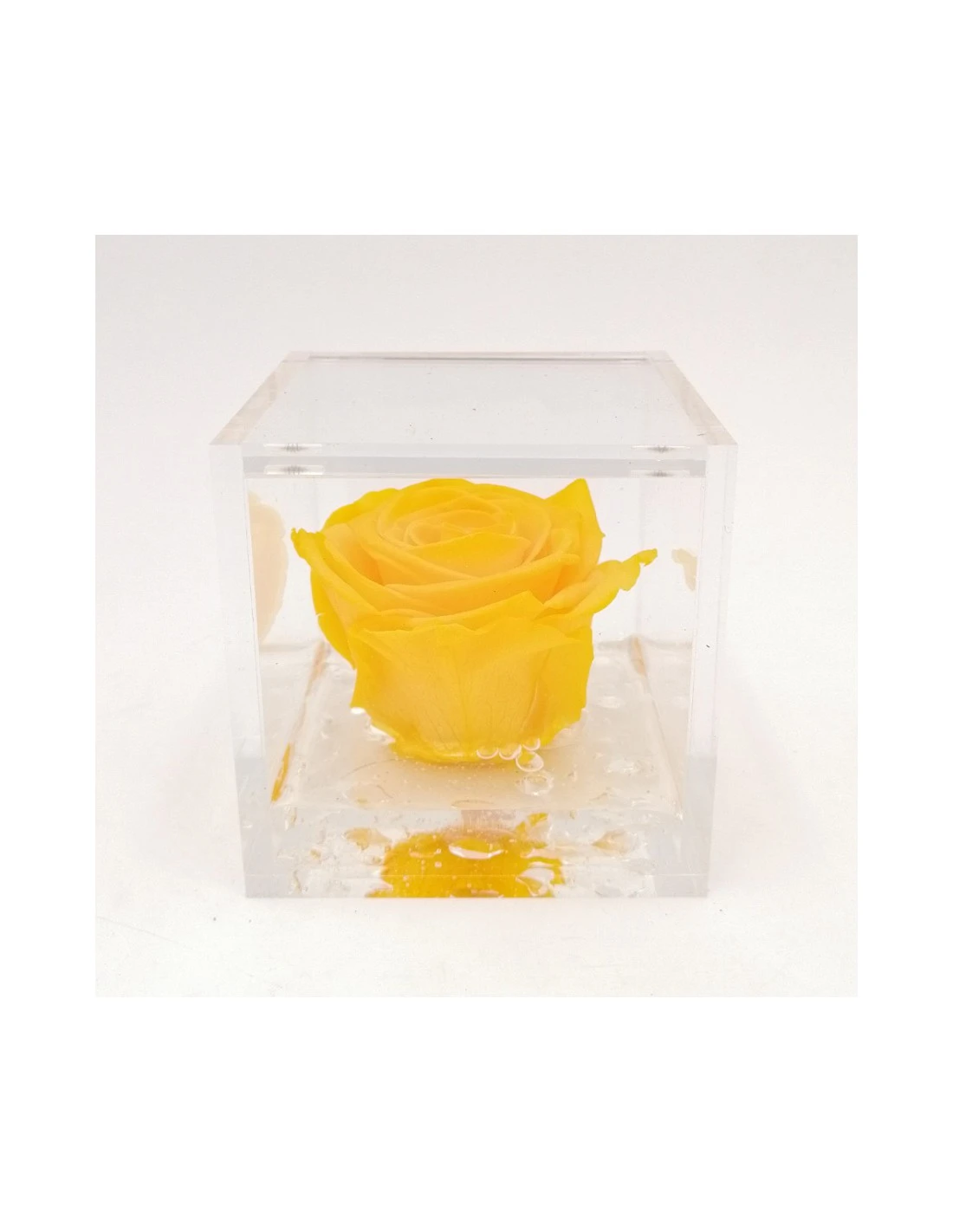 ROSA STABILIZZATA In CUBO 8X8 - YELLOW 1 ROSA STABILIZZATA In CUBO 8X8 - YELLOW