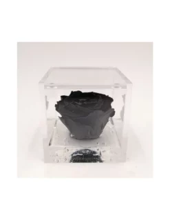 ROSA STABILIZZATA In CUBO 8X8 - BLACK