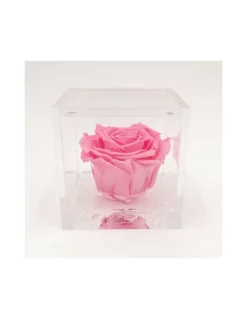 ROSA STABILIZZATA In CUBO 8x8 Cm - PINK