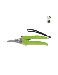 Forbice Acciaio A Punta