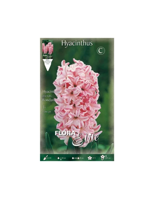 GIACINTO 'FONDANT' (orientalis) 3 BULBI -Vendite Forniture Da Giardino giacinto fondant orientalis 3 bulbi