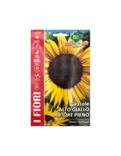 GIRASOLE ALTO GIALLO A FIORE PIENO
