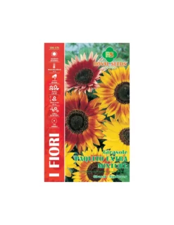 GIRASOLE PAQUITO EXTRA MIXTURE MAXI