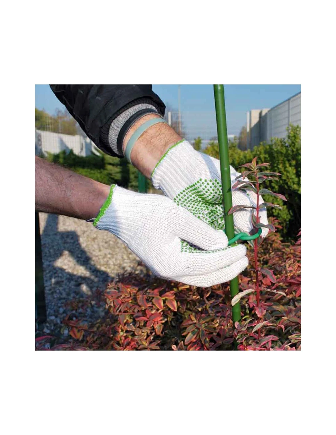 GUANTO DA GIARDINO MULTIUSO IN COTONE, PALMO PUNTINATO IN PVC MISURA L 2 GUANTO DA GIARDINO MULTIUSO IN COTONE, PALMO PUNTINATO IN PVC MISURA L - immagine 2