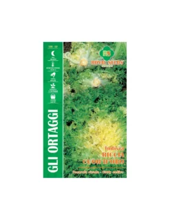 INDIVIA RICCIA CUOR D'ORO MAXI