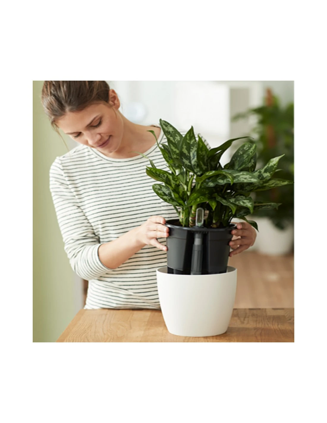 Elho KIT RISERVA ACQUA CON GALLEGGIANTE LIVING NERO 2 Elho KIT RISERVA ACQUA CON GALLEGGIANTE LIVING NERO - immagine 2