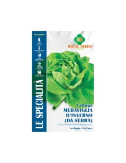 LATT.MER.INVERNO DA SERRA SP