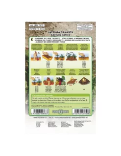 LATTUGA CANASTA LBM -Vendite Forniture Da Giardino lattuga canasta ex mar lbm 1