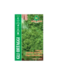 LATTUGA GRAND RAPIDS MAXI