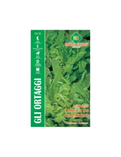 LATTUGA LINGUA DI CANARINO MAXI